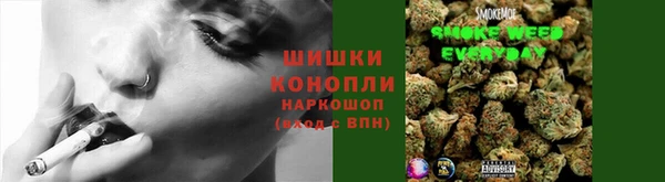 первитин Заводоуковск