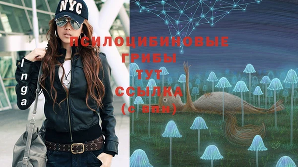 дурь Заволжск